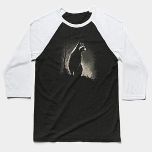 Raccoon at night Baseball T-Shirt